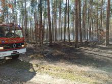 Sytuacja pożarowa na terenie RDLP w Łodzi