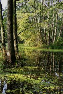 OBSZARY NATURA 2000