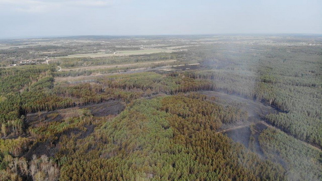 FOT&#x2e;&#x20;ARCHIWUMN&#x20;NADLEŚNICTWA&#x20;OPOCZNO