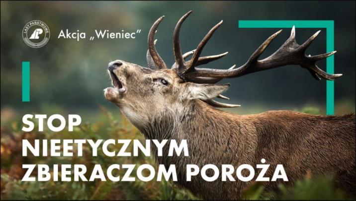 Na&#x20;zdjęciu&#x20;widoczny&#x20;jeleń&#x20;oraz&#x20;napis&#x20;akcja&#x20;wieniec&#x2c;&#x20;stop&#x20;nieetycznym&#x20;zbieraczom&#x20;poroża