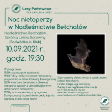 Noc nietoperzy w Nadleśnictwie Bełchatów