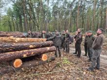 Szkolenie dla inżynierów nadzoru RDLP w Łodzi – drewno kłodowane iglaste pod lupą