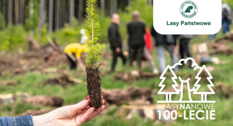 „Lasy na nowe 100-lecie” – razem dla przyszłych pokoleń lasów - Podsumowanie akcji