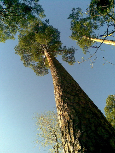 fot. Hanna Bednarek-Kolasińska