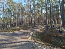 Działania leśników w walce z ASF w powiecie piotrkowskim